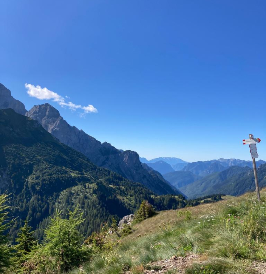Estate a Prà Rodont