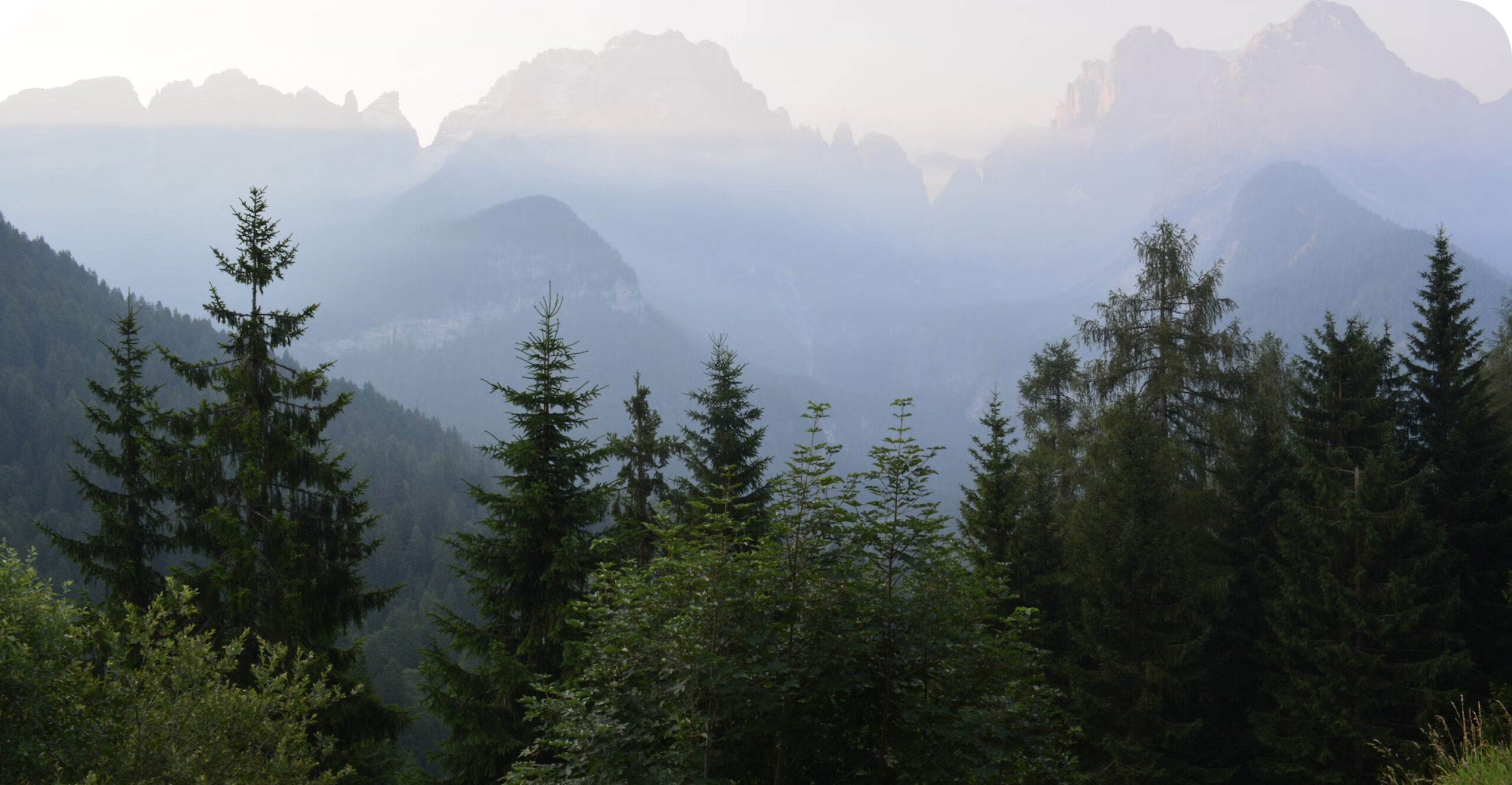 Estate a Prà Rodont